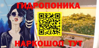 амф Гусев