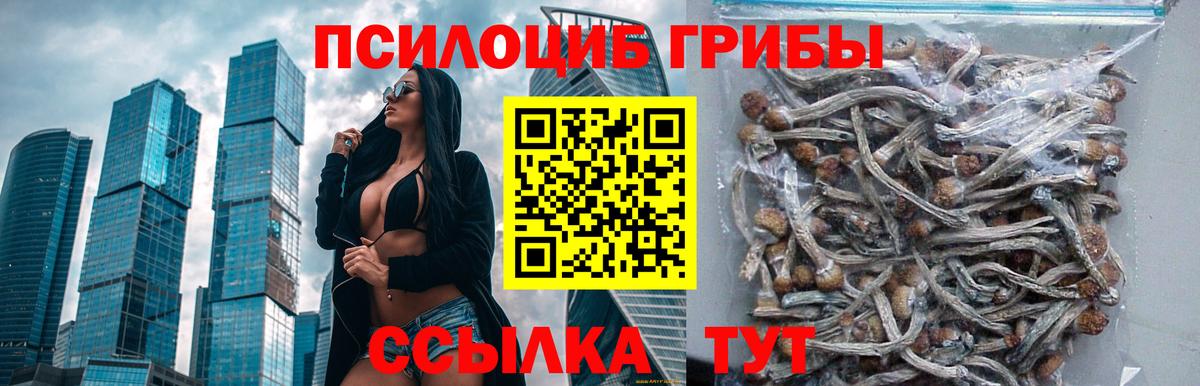 Мурманск  Псилоцибиновые грибы GOLDEN TEACHER  Вход с VPN  Псилоцибиновые грибы ЛСД 