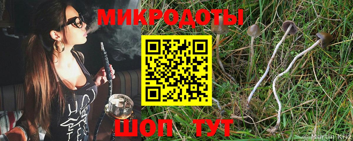 Галлюциногенные грибы ЛСД Мурманск